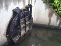 Tide Gate
